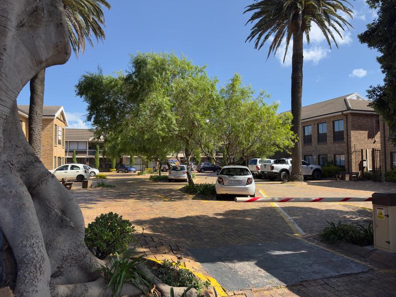 To Let Commercial Property for Rent in Claremont Western Cape